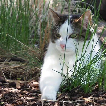 Kurz - Brigitte Kurz * Walchsee